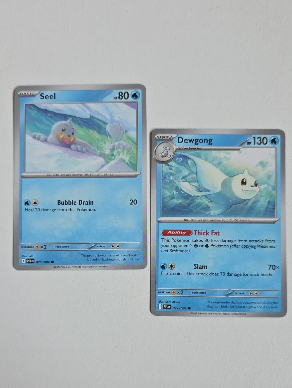 Pokemon Seel And Dewgong Trading Card